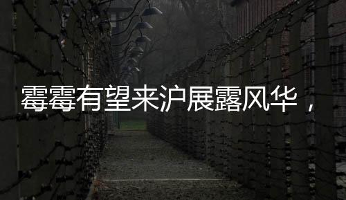 霉霉有望來滬展露風(fēng)華，粉絲期待熱議沸騰——演唱會(huì)動(dòng)向揭秘