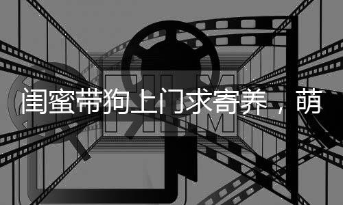 閨蜜帶狗上門求寄養(yǎng)，萌寵嫻熟融入新家