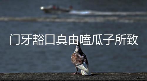 門牙豁口真由嗑瓜子所致？探秘真相揭曉答案