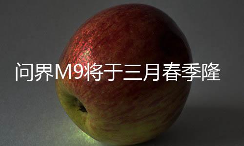 問界M9將于三月春季隆重上市，豪華轎車的新標(biāo)桿（一二三四五六七八九十）