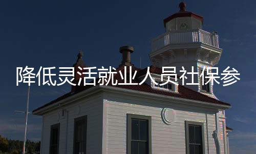 降低靈活就業(yè)人員社保參保門檻的建議，打破壁壘，保障靈活就業(yè)者的權(quán)益