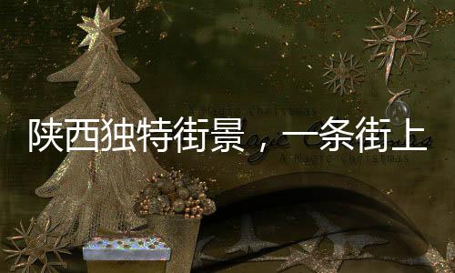 陜西獨(dú)特街景，一條街上排開22家理發(fā)店，形成行業(yè)風(fēng)景線的奧秘探尋