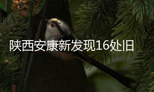 陜西安康新發(fā)現(xiàn)16處舊石器遺址 豐富秦嶺地區(qū)古人類生活“圖景”