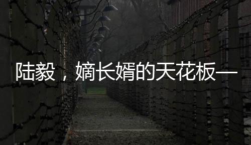陸毅，嫡長婿的天花板——深度探究其獨特魅力