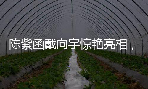 陳紫函戴向宇驚艷亮相，敖閏敖光之華麗COS秀