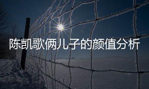 陳凱歌倆兒子的顏值分析