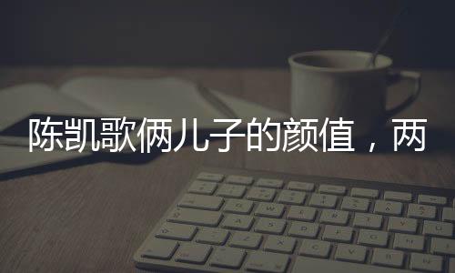 陳凱歌倆兒子的顏值，兩代傳承的帥氣風(fēng)采