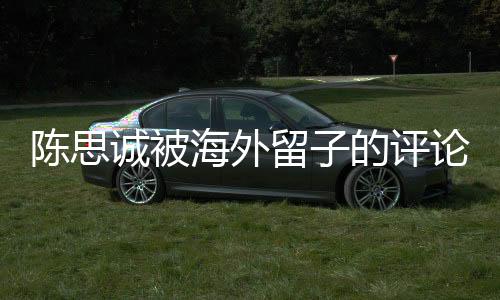 陳思誠被海外留子的評(píng)論感動(dòng)哭了——深入解讀背后的故事與情感共鳴