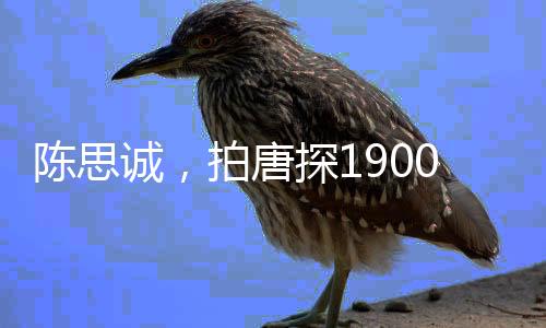 陳思誠(chéng)，拍唐探1900不是為了討好