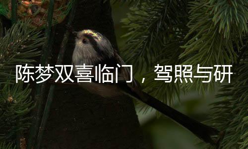 陳夢(mèng)雙喜臨門(mén)，駕照與研究生畢業(yè)證雙豐收