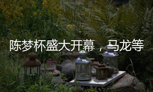 陳夢杯盛大開幕，馬龍等明星送祝福