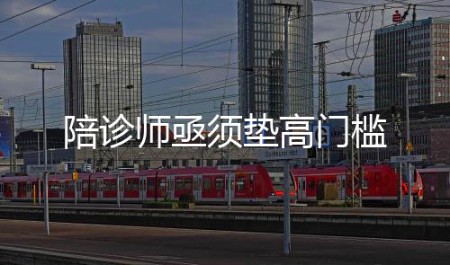 陪診師亟須墊高門檻