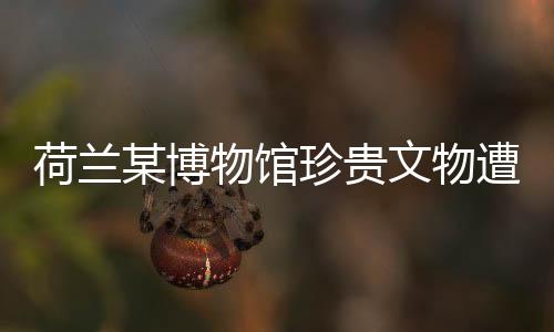 荷蘭某博物館珍貴文物遭遇盜竊事件