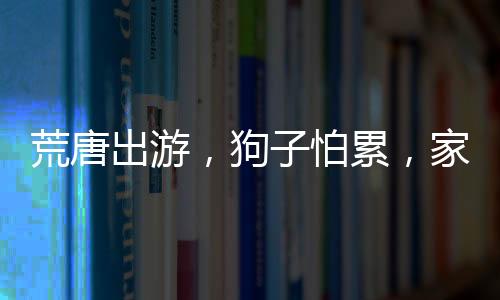 荒唐出游，狗子怕累，家人用棍子抬著旅行