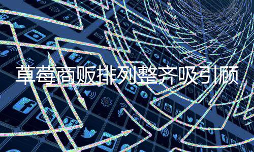 草莓商販排列整齊吸引顧客，展現(xiàn)活力市場(chǎng)景象