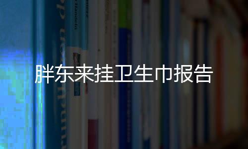 胖東來掛衛(wèi)生巾報告