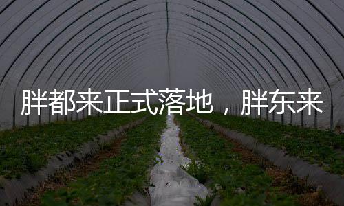 胖都來正式落地，胖東來品牌的嶄新回應(yīng)