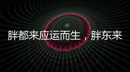 胖都來應(yīng)運(yùn)而生，胖東來品牌積極回應(yīng)市場(chǎng)新動(dòng)向
