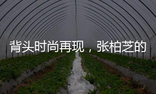 背頭時尚再現(xiàn)，張柏芝的魅力風(fēng)采