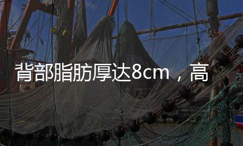 背部脂肪厚達(dá)8cm，高危孕婦成功產(chǎn)子，一次關(guān)于生命奇跡的奇跡報(bào)道