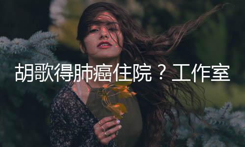 胡歌得肺癌住院？工作室辟謠