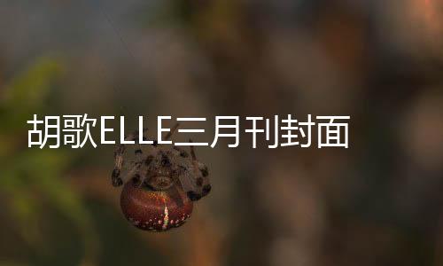 胡歌ELLE三月刊封面，時(shí)尚魅力與演技實(shí)力的完美融合