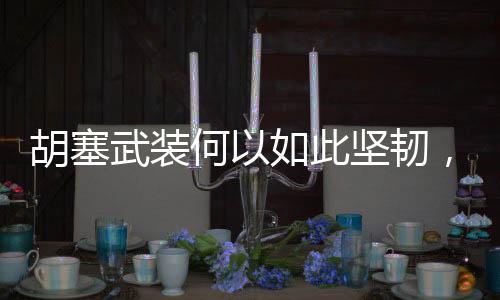 胡塞武裝何以如此堅(jiān)韌，深度解析其抗打擊能力