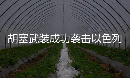 胡塞武裝成功襲擊以色列軍事目標，一場備受關(guān)注的軍事行動分析