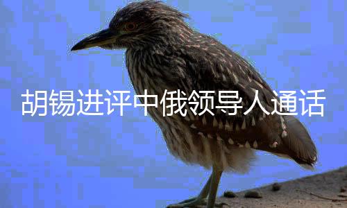 胡錫進(jìn)評(píng)中俄領(lǐng)導(dǎo)人通話，世界級(jí)影響的戰(zhàn)略對(duì)接