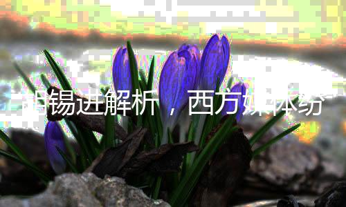 胡錫進(jìn)解析，西方媒體紛紛批判萬斯現(xiàn)象的背后