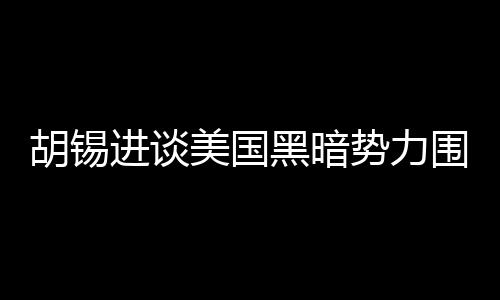胡錫進(jìn)談美國(guó)黑暗勢(shì)力圍剿DeepSeek，揭示背后的真相與挑戰(zhàn)