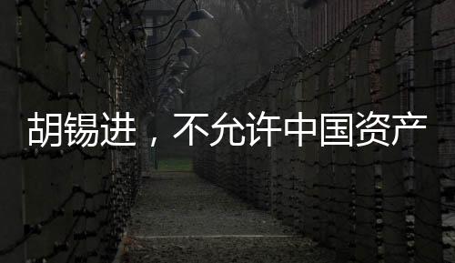 胡錫進，不允許中國資產(chǎn)被肆意侵占