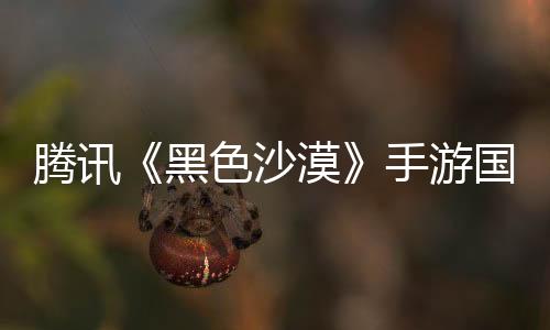 騰訊《黑色沙漠》手游國服今日停運：運營不到3年