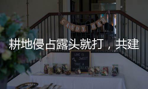 耕地侵占露頭就打，共建生態(tài)美麗家園