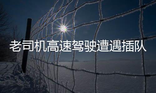 老司機(jī)高速駕駛遭遇插隊(duì)，巧妙借道應(yīng)急車道避險(xiǎn)
