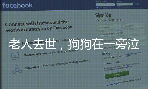 老人去世，狗狗在一旁泣不成聲，忠誠與哀傷的見證