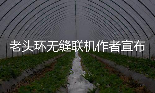 老頭環(huán)無縫聯(lián)機(jī)作者宣布《黑暗之魂3》版Mod開發(fā)中
