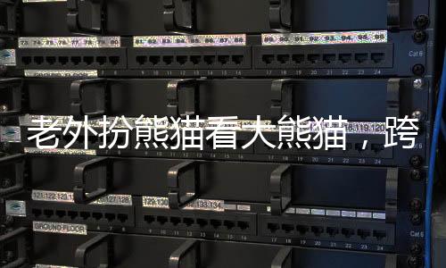 老外扮熊貓看大熊貓，跨越文化的奇特體驗(yàn)