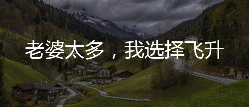 老婆太多，我選擇飛升