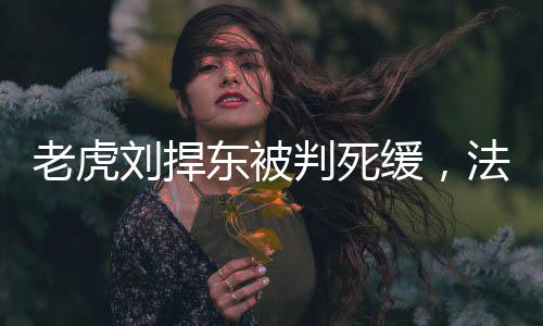 老虎劉捍東被判死緩，法律公正與社會(huì)反響
