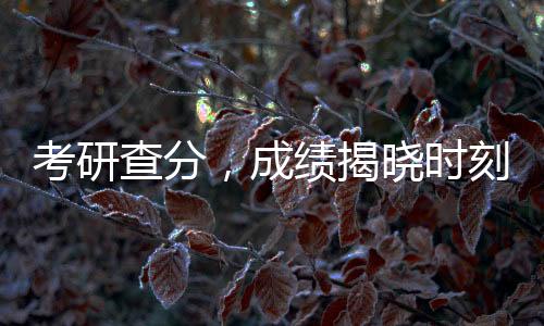 考研查分，成績揭曉時刻的焦慮與期待