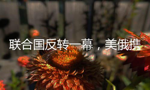 聯(lián)合國(guó)反轉(zhuǎn)一幕，美俄攜手反對(duì)烏提案