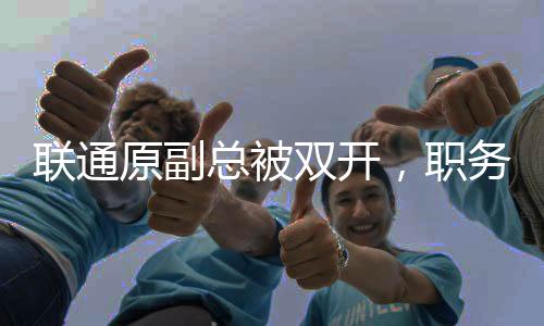 聯(lián)通原副總被雙開，職務(wù)違法違紀(jì)引發(fā)社會關(guān)注