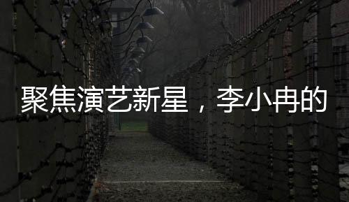聚焦演藝新星，李小冉的戲劇與歌唱之路——我另有人選