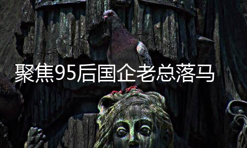 聚焦95后國企老總落馬事件