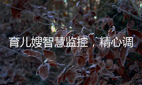 育兒嫂智慧監(jiān)控，精心調(diào)整攝像頭機位，保障寶寶安全成長