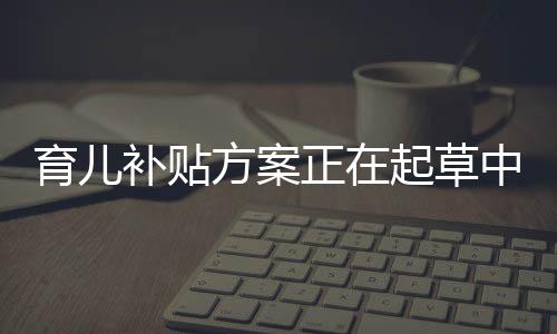 育兒補(bǔ)貼方案正在起草中，一攬子計(jì)劃助力家庭育兒事業(yè)蓬勃發(fā)展