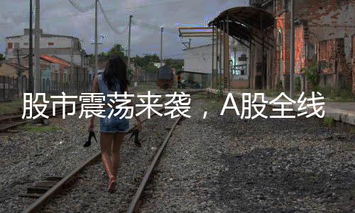 股市震蕩來(lái)襲，A股全線大跌，創(chuàng)業(yè)板指跌近四成深度解析
