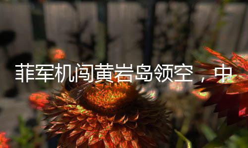 菲軍機(jī)闖黃巖島領(lǐng)空，中方警告驅(qū)離，事件深度解讀