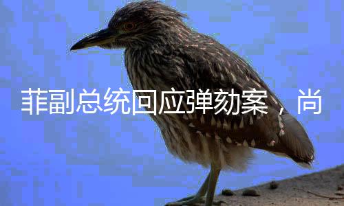 菲副總統(tǒng)回應(yīng)彈劾案，尚未考慮辭職